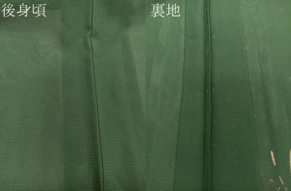 平和屋着物＊夏物　訪問着　絽　草花文　蛍　金彩　正絹　逸品　CABJ4154xi