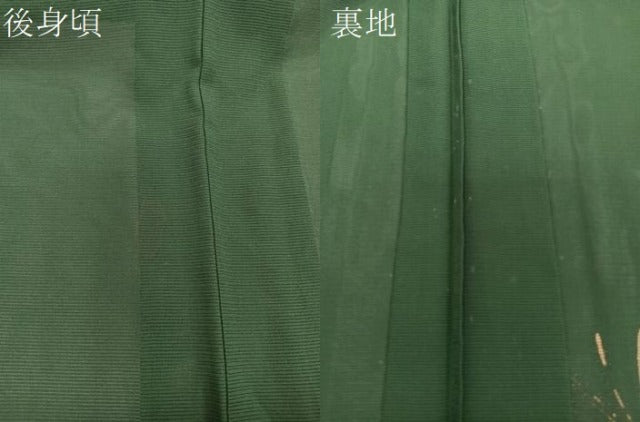 平和屋着物＊夏物　訪問着　絽　草花文　蛍　金彩　正絹　逸品　CABJ4154xi