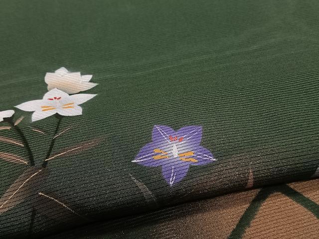 平和屋着物＊夏物　訪問着　絽　草花文　蛍　金彩　正絹　逸品　CABJ4154xi