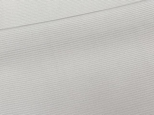 平和屋着物＊夏物　色無地　駒絽　五泉　堅牢染め　薄色　証紙付き　ロング丈　正絹　逸品　未使用　CABJ4172xi