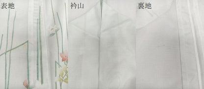 平和屋着物＊夏物　訪問着　絽　枝草花文　洗える着物　CABJ4180xi