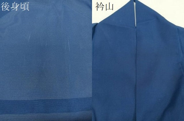 平和屋着物＊夏物　訪問着　絽　枝草花文　洗える着物　CABJ4181xi