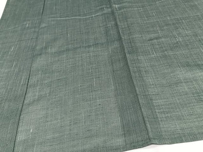 平和屋着物＊夏物　紗紬　霞文　正絹　逸品　CABJ4188xi