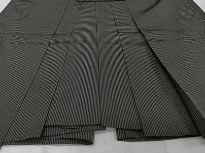 平和屋着物＊夏物　男性　行灯袴　縦絽　縞　正絹　逸品　CABJ4197xi