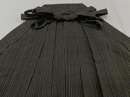 平和屋着物＊夏物　男性　行灯袴　縦絽　縞　正絹　逸品　CABJ4199xi