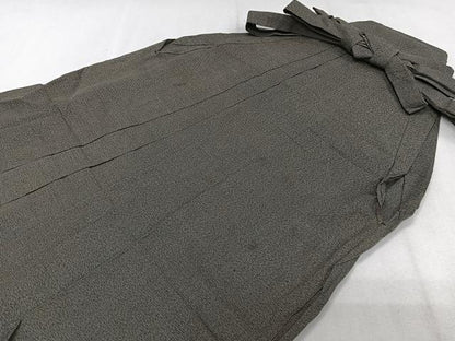 平和屋着物＊夏物　男性　行灯袴　霞文　正絹　逸品　CABJ4206xi