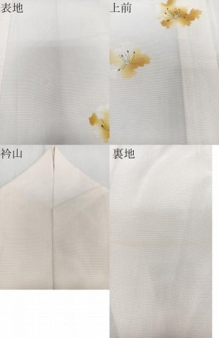 平和屋着物＊夏物　訪問着　絽　花文　銀彩　正絹　逸品　CABJ4213xi
