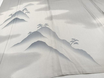 平和屋着物＊夏物　訪問着　絽縮緬　遠山松文　正絹　逸品　未使用　CABJ4220xi