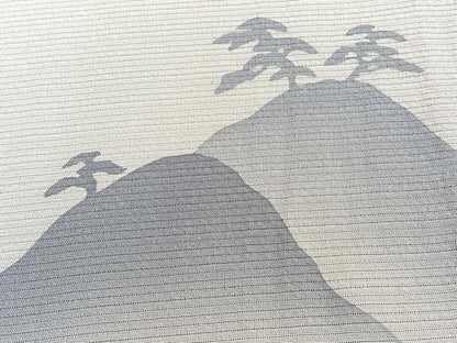 平和屋着物＊夏物　訪問着　絽縮緬　遠山松文　正絹　逸品　未使用　CABJ4220xi