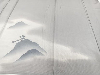 平和屋着物＊夏物　訪問着　絽縮緬　遠山松文　正絹　逸品　未使用　CABJ4220xi
