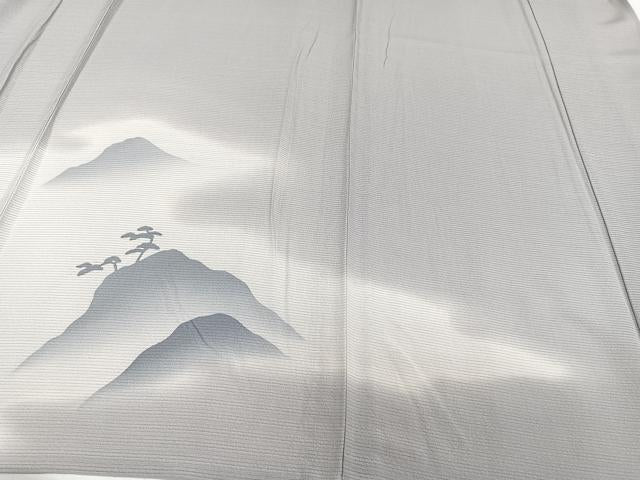 平和屋着物＊夏物　訪問着　絽縮緬　遠山松文　正絹　逸品　未使用　CABJ4220xi