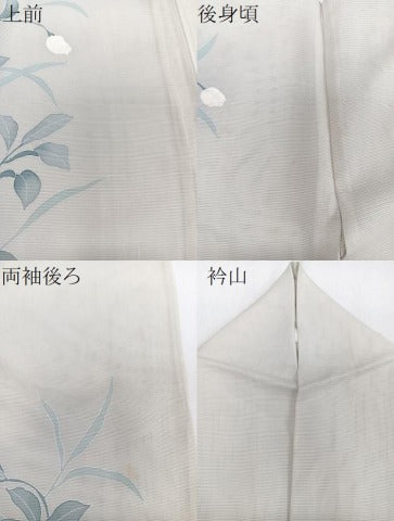 平和屋着物＊夏物　訪問着　絽　友禅　枝草花文　正絹　逸品　CABJ4224xi