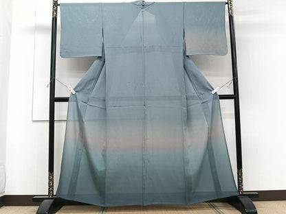 平和屋着物＊夏物　訪問着　絽　霞文　暈し染め　正絹　逸品　CABJ4232xi