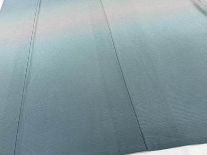平和屋着物＊夏物　訪問着　絽　霞文　暈し染め　正絹　逸品　CABJ4232xi