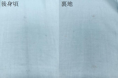 平和屋着物＊夏物　訪問着　紗紬　籬萩文　金銀彩　正絹　逸品　CABJ4240xi