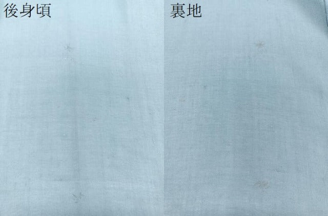 平和屋着物＊夏物　訪問着　紗紬　籬萩文　金銀彩　正絹　逸品　CABJ4240xi