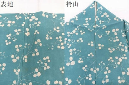 平和屋着物＊夏物　小紋　絽　枝花文　正絹　逸品　CABJ4243xi