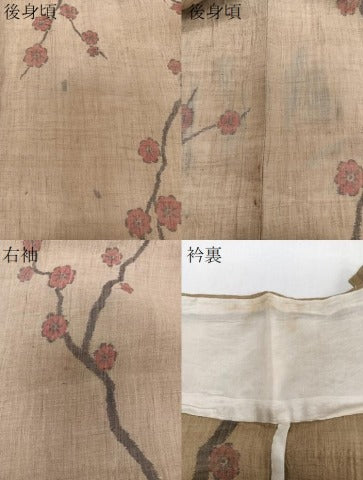 平和屋着物＊夏物　本場小千谷縮　枝梅文　麻　逸品　CABJ4265xi