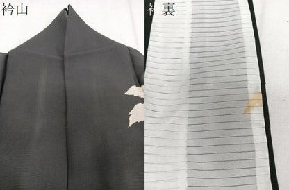 平和屋着物＊夏物　訪問着　絽　枝草花文　黒地　金彩　正絹　逸品　CABJ4275xi