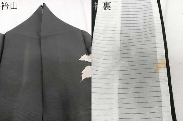 平和屋着物＊夏物　訪問着　絽　枝草花文　黒地　金彩　正絹　逸品　CABJ4275xi