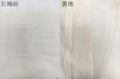 平和屋着物＊夏物　訪問着　絽　枝草花文　金彩　正絹　逸品　CABJ4281xi