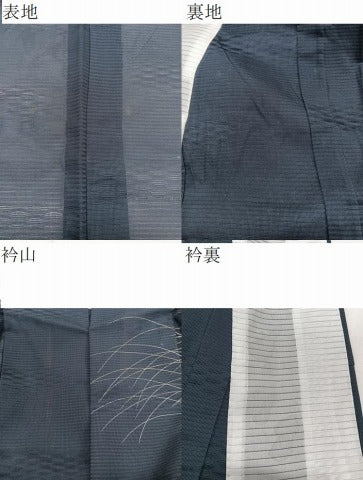 平和屋着物＊夏物　訪問着　紋絽　草花文　蛍ぼかし　正絹　逸品　CABJ4302xi