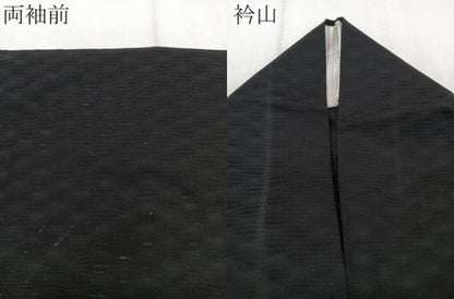 平和屋着物＊夏物　訪問着　紋絽　草花文　兎　蛍ぼかし　黒地　金銀彩　正絹　逸品　CABJ4314xi