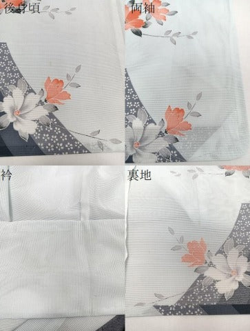 平和屋着物＊夏物　訪問着　絽　枝草花文　洗える着物　CABJ4319xi