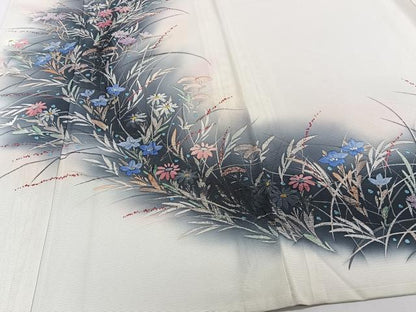 平和屋着物＊夏物　訪問着　絽　手描き　草花文　正絹　逸品　CABJ4336xi