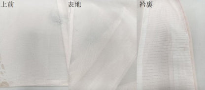 平和屋着物＊夏物　訪問着　絽　手描き　花蝶文　金彩　洗える着物　CABJ4361xi
