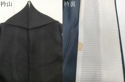 平和屋着物＊夏物　訪問着　絽　枝垂れ扇花文　黒地　金彩　正絹　逸品　CABJ4384xi