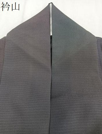 平和屋着物＊染色作家　斉藤三才　夏物　小紋　絽縮緬　霞文　正絹　逸品　CABJ4394xi