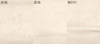 平和屋着物＊夏物　九寸名古屋帯　枝花文　金銀糸　正絹　逸品　CABJ4512fb