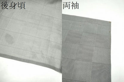 平和屋着物＊夏物　本場琉球絣　夏琉球　ヤシラミ織　野原広光作　証紙付き　正絹　逸品　CABJ4806hy