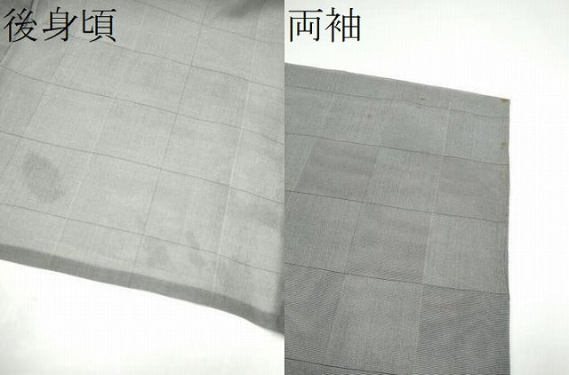 平和屋着物＊夏物　本場琉球絣　夏琉球　ヤシラミ織　野原広光作　証紙付き　正絹　逸品　CABJ4806hy