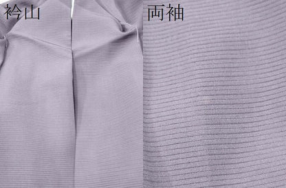 平和屋着物＊夏物　色無地　絽　竜胆色　正絹　逸品　CABJ4813hy