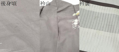 平和屋着物＊夏物　訪問着　絽　流水草花文　金彩　正絹　逸品　CABJ4821hy