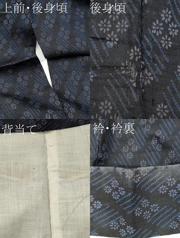 平和屋着物＊夏物　紗紬　菊　正絹　逸品　CABJ4824hy