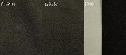 平和屋着物＃羽織　寿光織　枝橘文　黒地　金銀糸　正絹　逸品　CABJ5364in