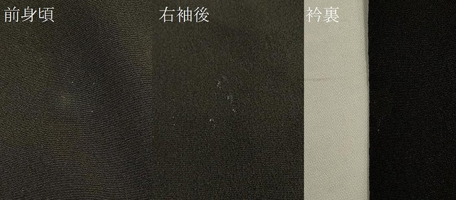 平和屋着物＃羽織　寿光織　枝橘文　黒地　金銀糸　正絹　逸品　CABJ5364in