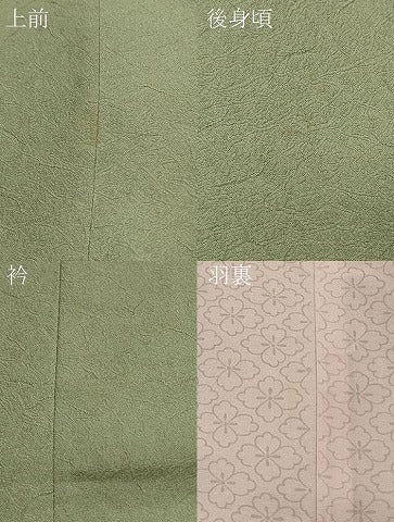 平和屋着物＃道中着　刺繍　遠山草花文　金銀糸　ロング丈　正絹　逸品　CABJ5577in