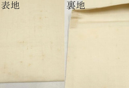 平和屋着物＊夏物　九寸名古屋帯　トンボ　正絹　逸品　CABJ5951tx