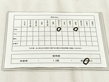 平和屋着物◎六通柄袋帯　枝梅文　金銀糸　正絹　逸品　CABJ6172yk