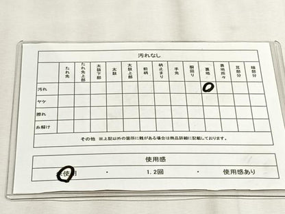 平和屋着物◎六通柄袋帯　風景蔦の葉丸文　正絹　逸品　未使用　CABJ6186yk