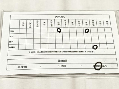 平和屋着物◎六通柄袋帯　唐織　立涌花文　銀糸　正絹　逸品　CABJ6200yk
