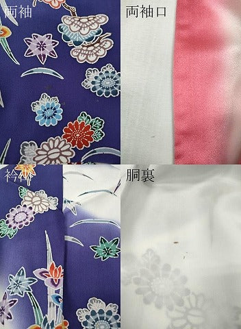 平和屋着物●訪問着　型染め　風景草花文　暈し染め　正絹　逸品　CABJ6426ut