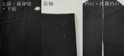 平和屋着物●豪華黒留袖　友禅　作家物　風景草花文　正絹　逸品　CABJ6441ut