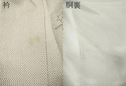 平和屋着物●訪問着　本塩沢　枝花文　正絹　逸品　CABJ6448ut