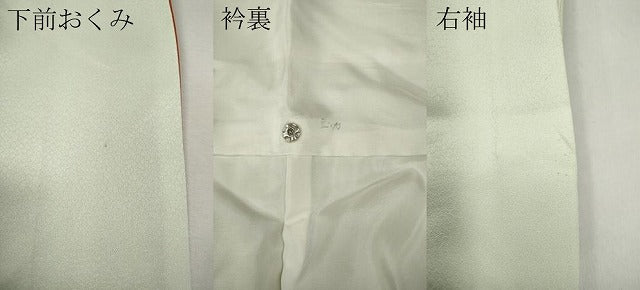平和屋着物●訪問着　南天文　暈し染め　正絹　逸品　CABJ6471ut