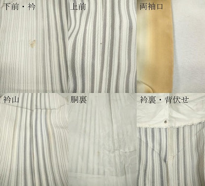 平和屋着物●訪問着　駒刺繍　縞　吉祥文　金銀彩　正絹　逸品　CABJ6482ut